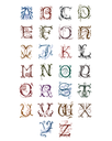 Alphabet "Bestiary" T-Shirt Unisex