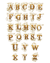 Alphabet "Golden Letters" T-Shirt Unisex