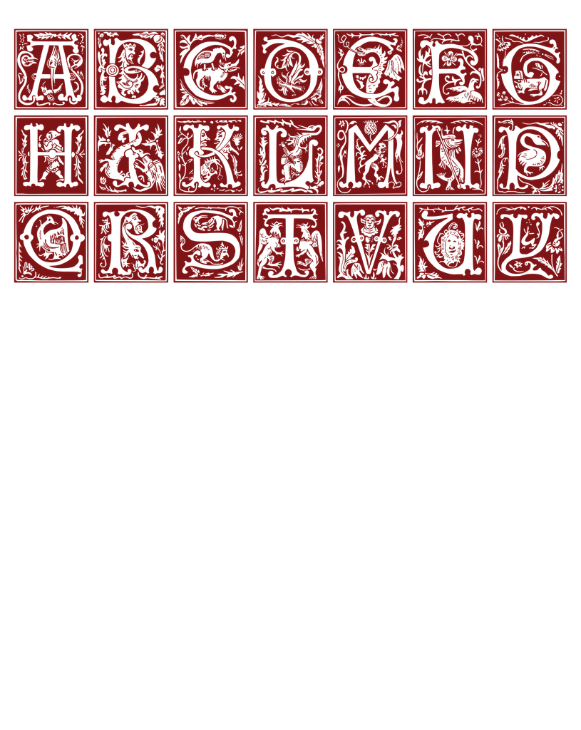 Alphabet "Ornamental 16th Century" T-Shirt Unisex