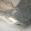 "Elizabeth of York" 50cm x 50cm Fringed Cotton/Poly Cushion Cover
