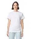 GI2000_2027.webp