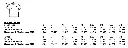 gi2000_technical_file_en-01.webp