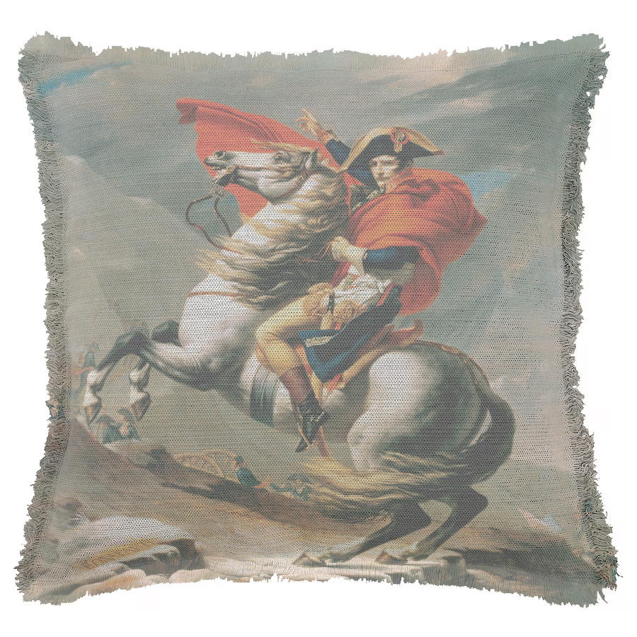 "Napoleon" 50cm x 50cm Fringed Cotton/Poly Cushion Cover