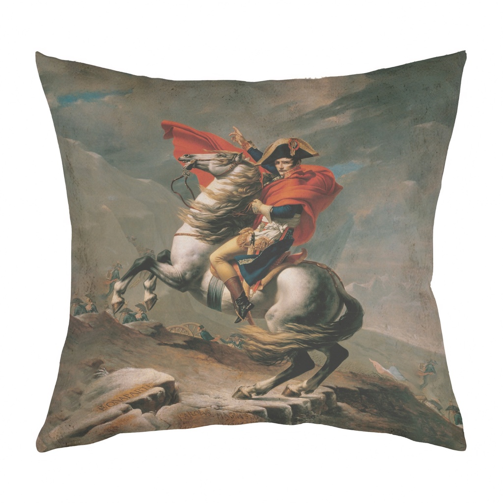 "Napoleon" 40cm x 40cm Faux Leather Cushion Cover