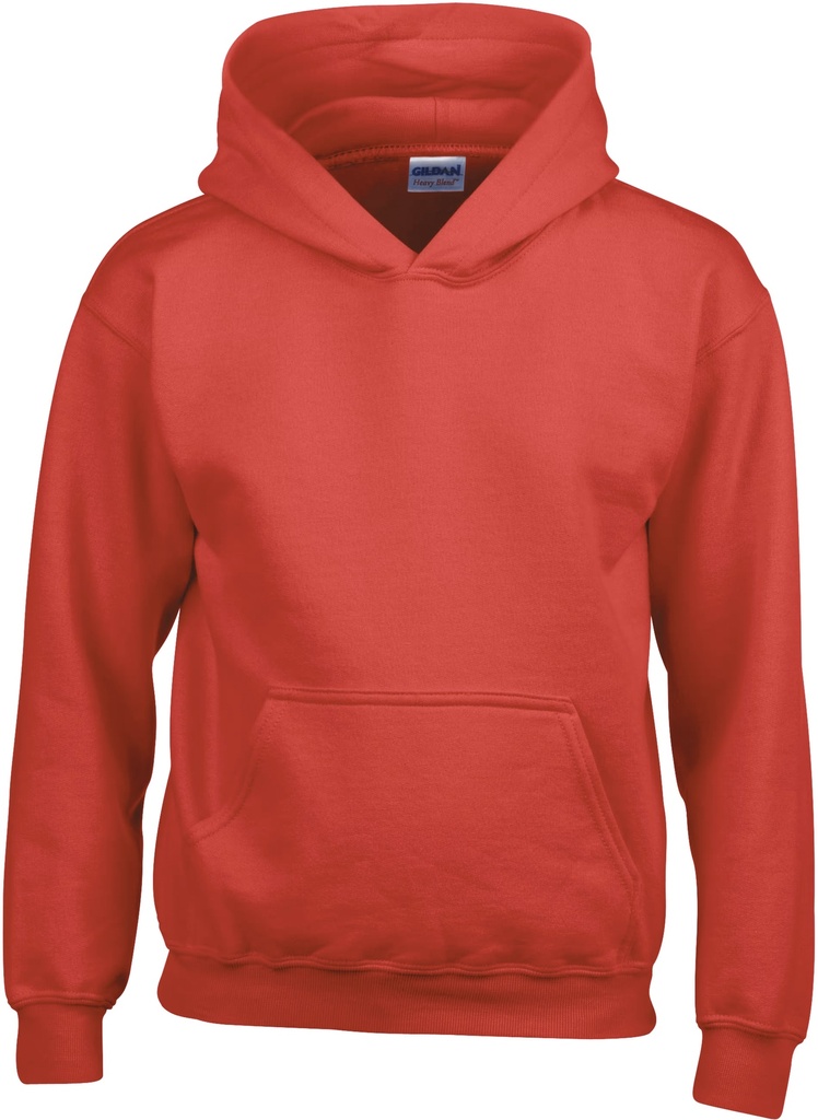 Hoodie Heavy Blend - Childrens