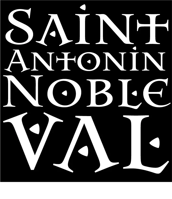 "St Antonin Block Logo - Pocket" SoftStyle Cotton Tee - V-Neck Adult