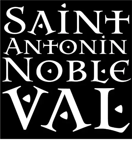 "St Antonin Block Logo" SoftStyle Cotton Tee - Adult